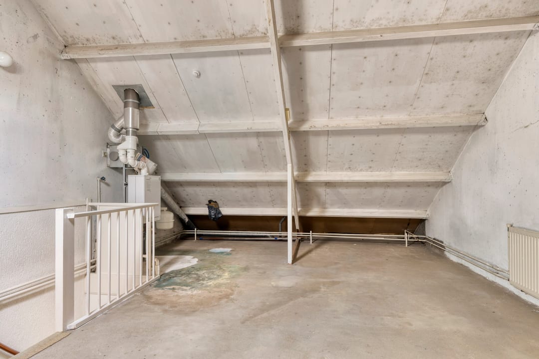 Foto 32 van Zwenkgras 1