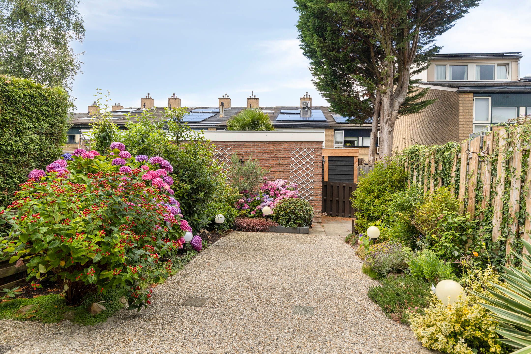 Foto 33 van Zwenkgras 1