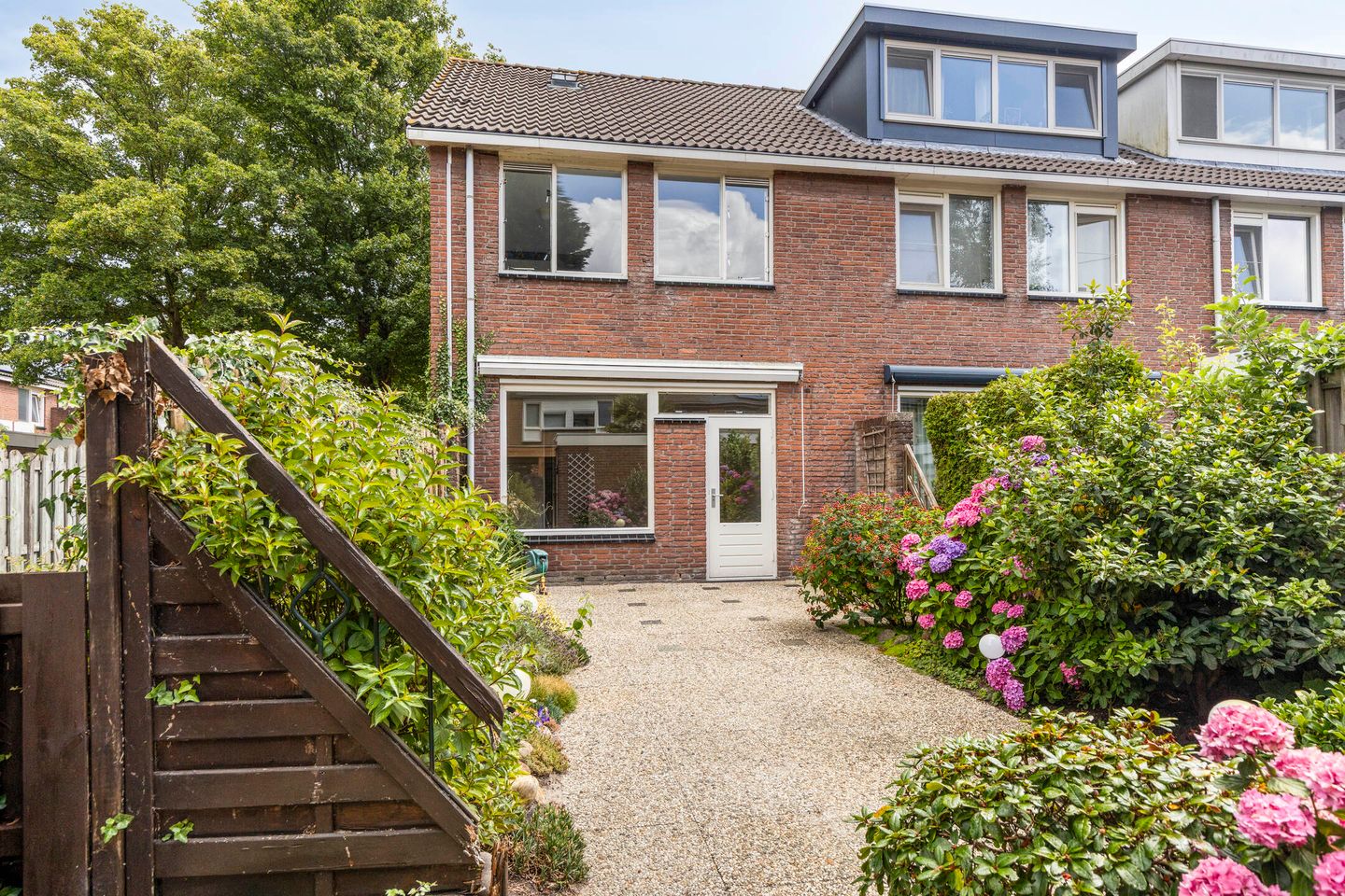 Foto 34 van Zwenkgras 1