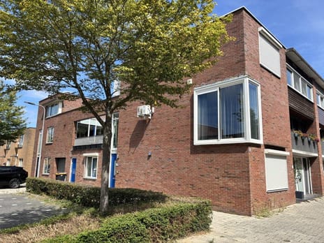 Belgradostraat 2