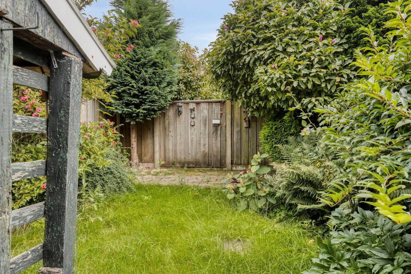 Foto 34 van Niasstraat 11