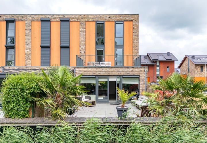 Foto 2 van Lisdodde 51