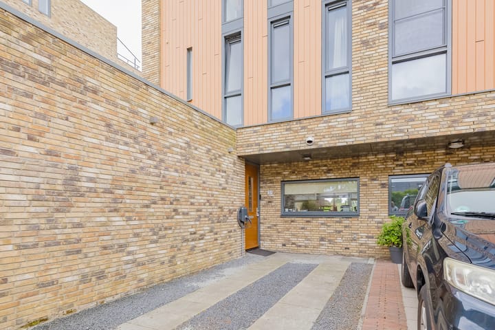 Foto 4 van Lisdodde 51