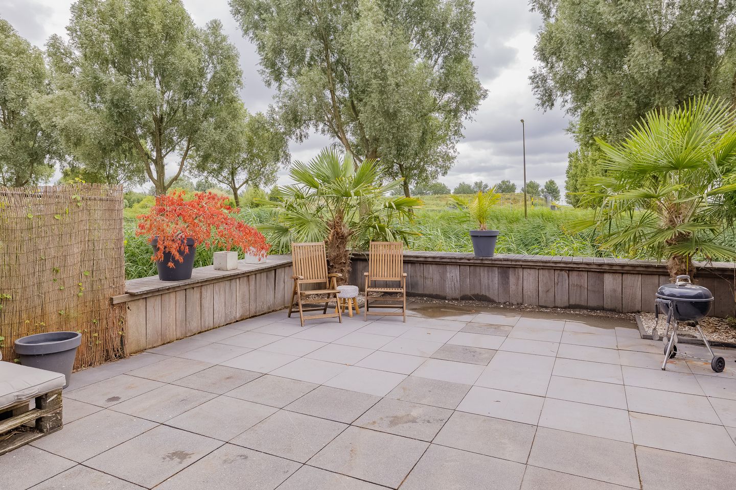 Foto 40 van Lisdodde 51