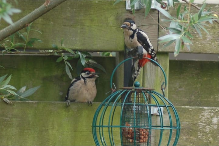 Foto 57 van Bavinkhof 3