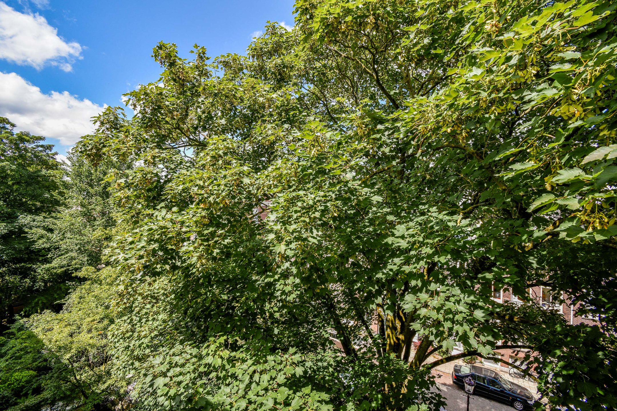 Foto 18 van Grensstraat 116