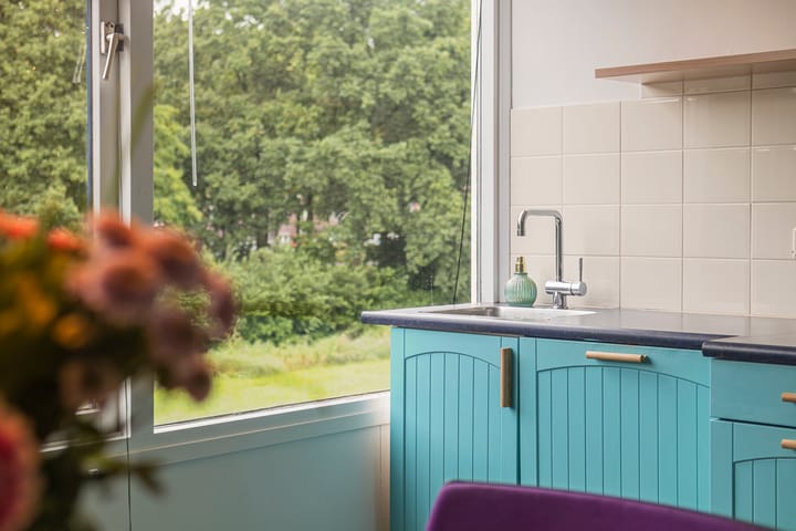 Photo 16 of Olthorst 29