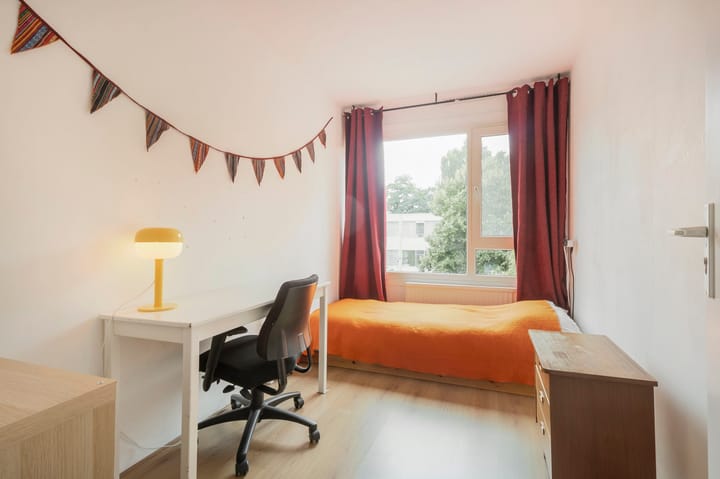 Photo 27 of Olthorst 29