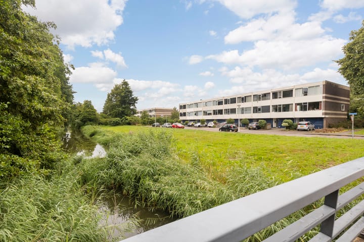 Photo 38 of Olthorst 29