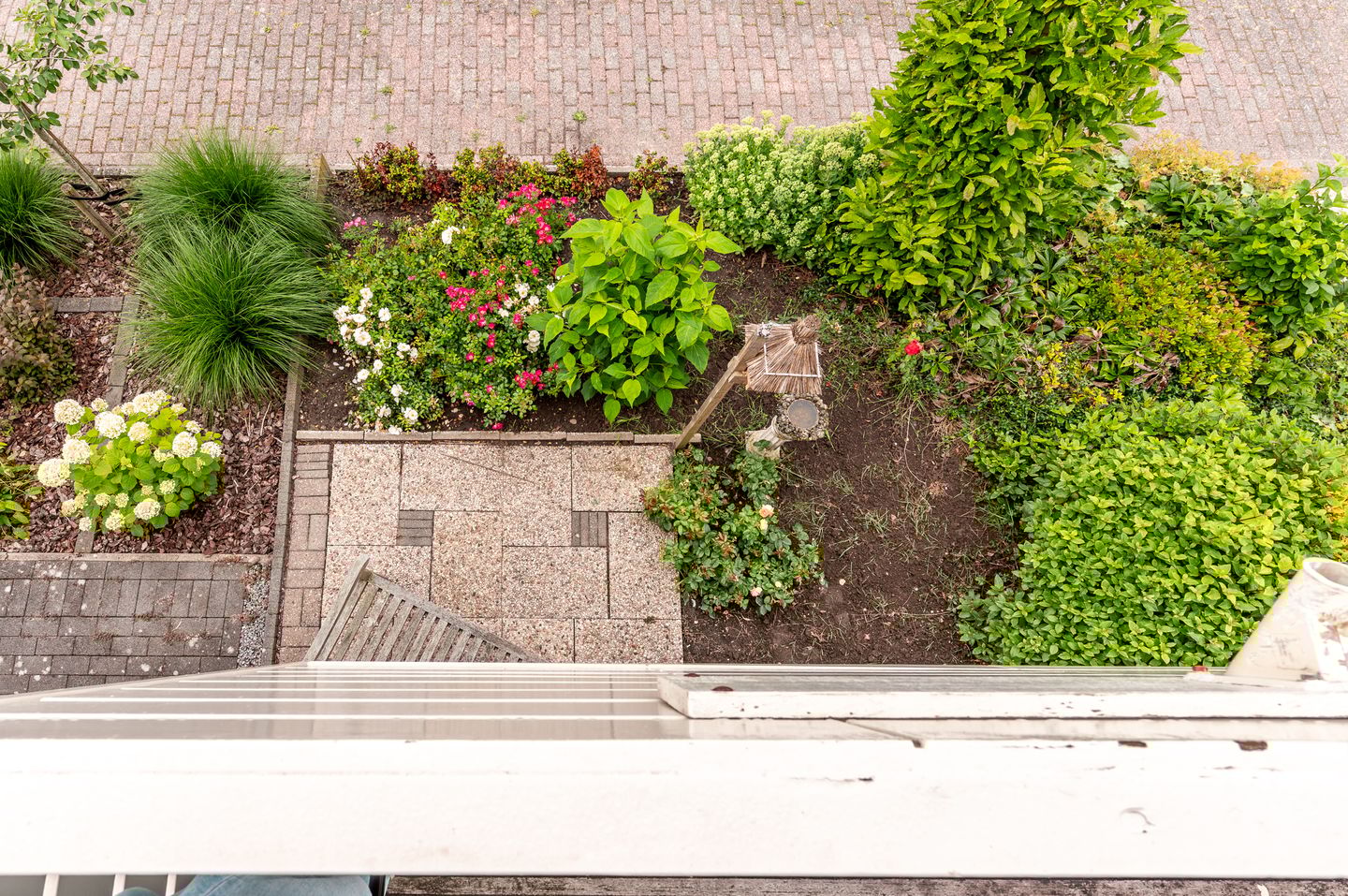 Foto 34 van De Sallandse Roe 4