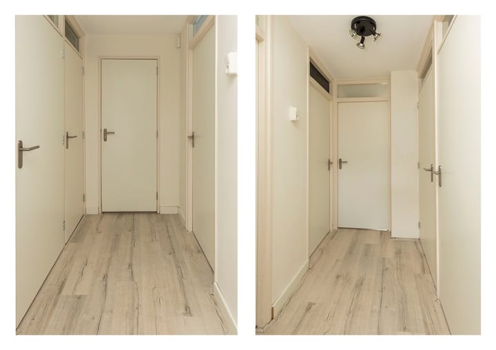 Foto 16 van Ganzekant 13