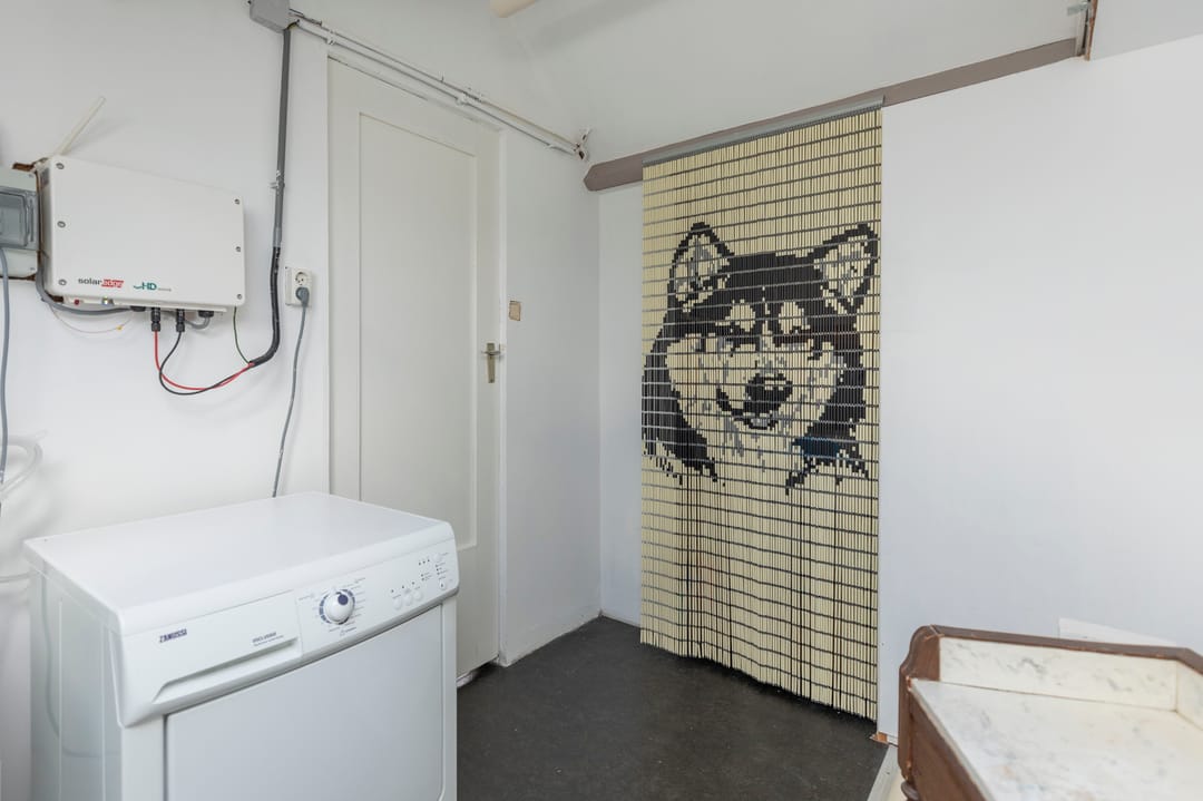 Foto 31 van Ganzekant 13