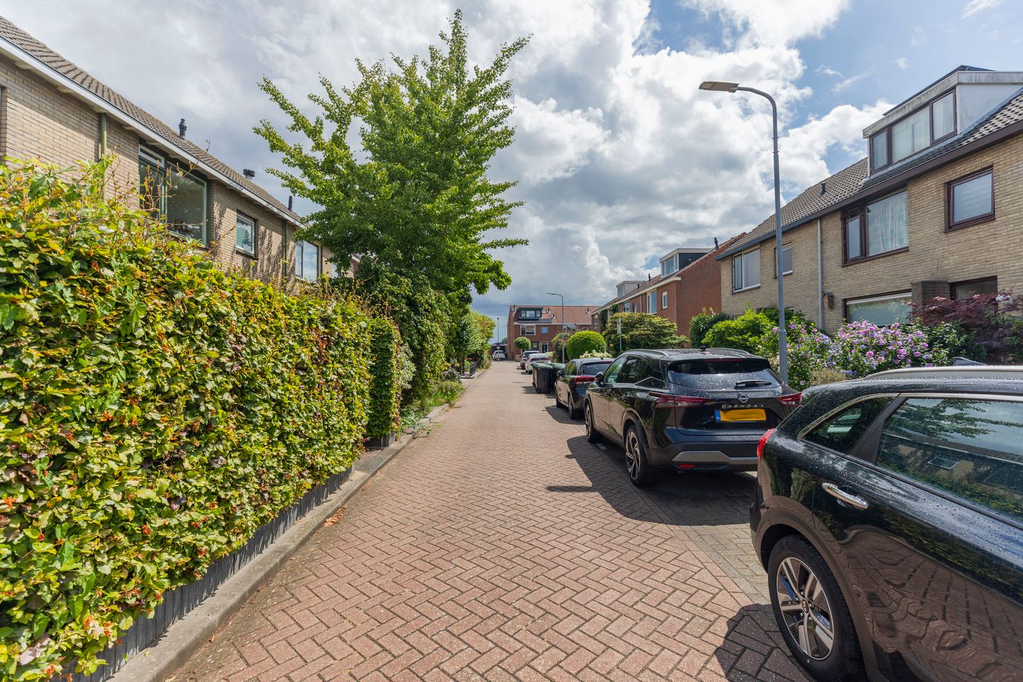 Foto 44 van Ganzekant 13