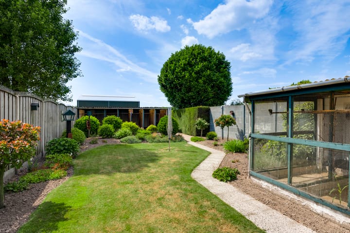 Foto 2 van Tjongerstraat 7