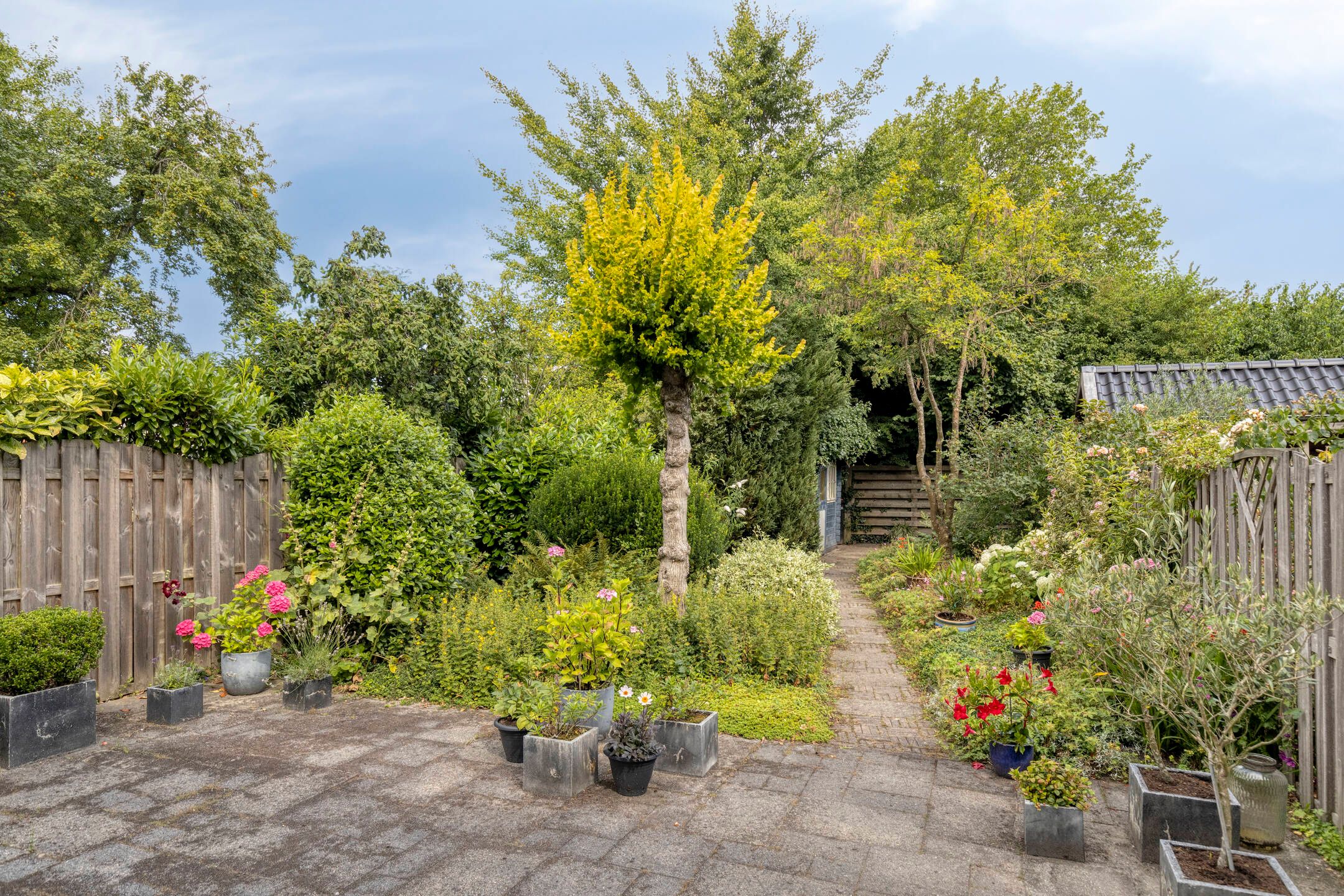 Foto 42 van Noordervoert 12