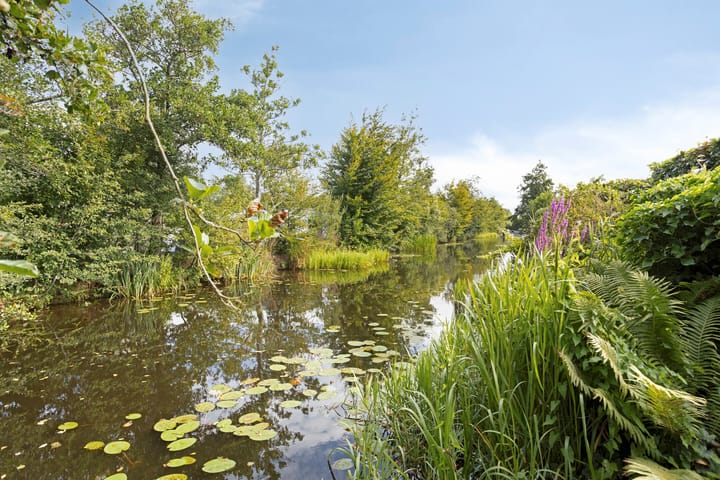 Photo 3 of Eysinga-State 250