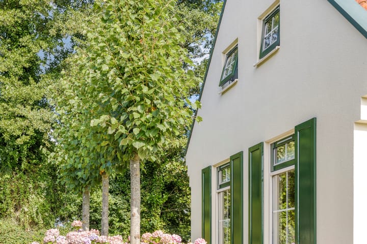 Photo 6 of Eysinga-State 250