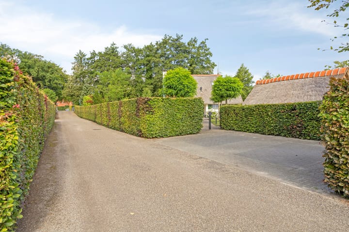 Photo 35 of Eysinga-State 250