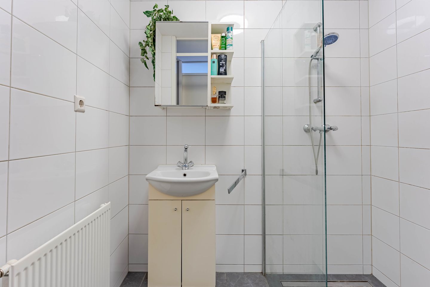 Foto 14 van Dorpsstraat 124