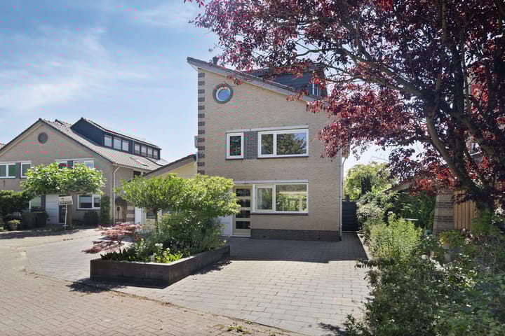 Foto 39 van Keizerfazant 26