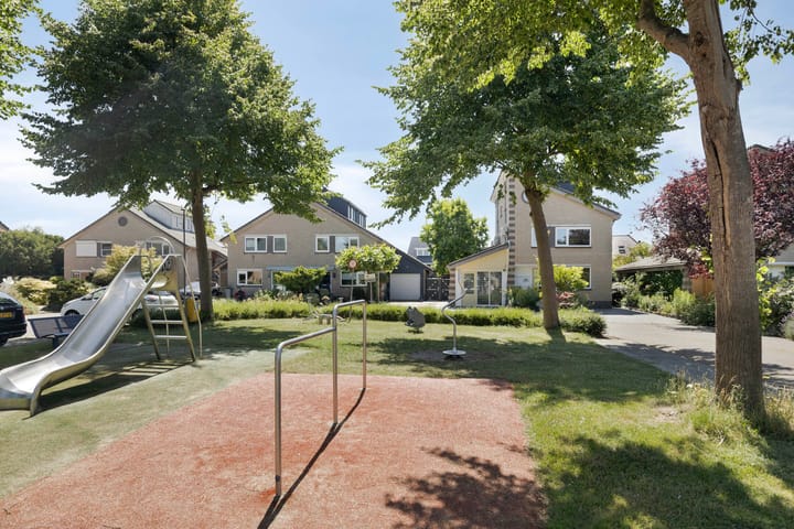 Foto 41 van Keizerfazant 26