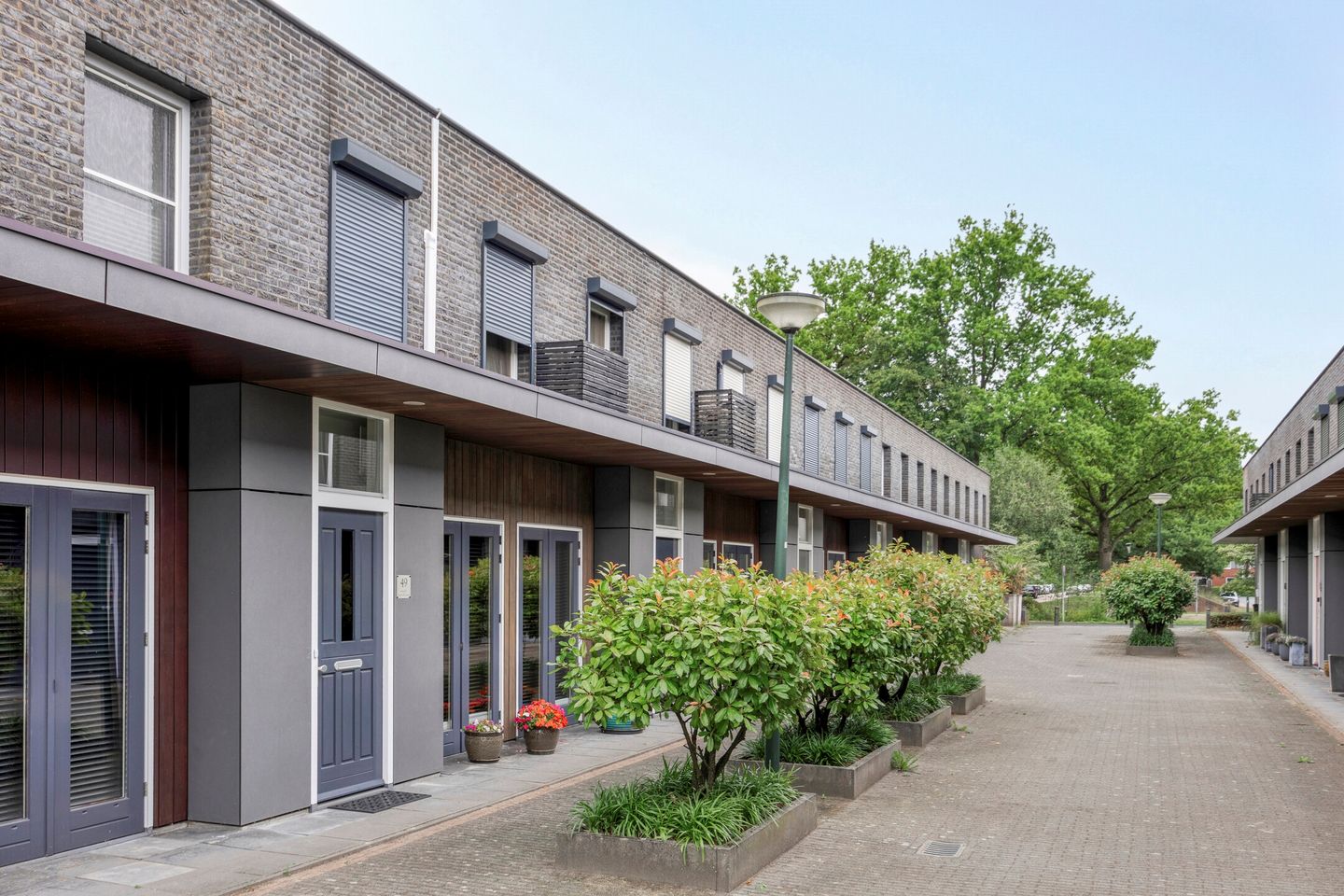 Foto 25 van Poolster 49