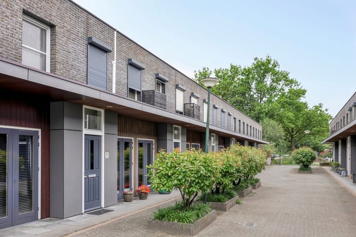 Foto 25 van Poolster 49