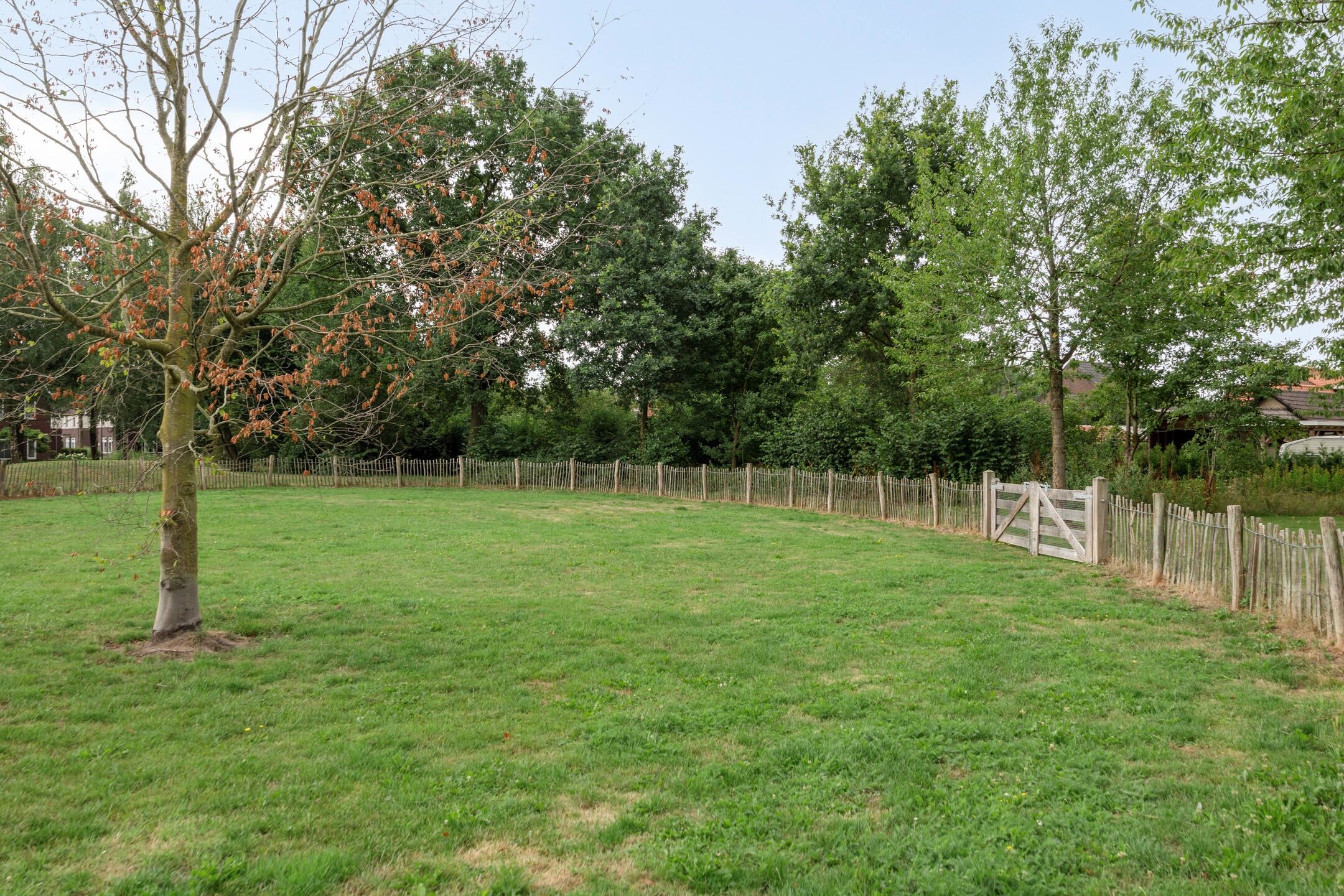 Foto 27 van Poolster 49