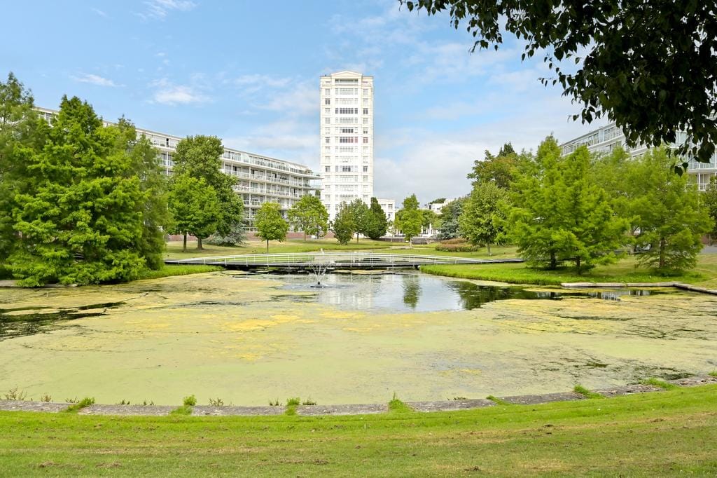 Foto 22 van Burgemeester De Monchyplein 81