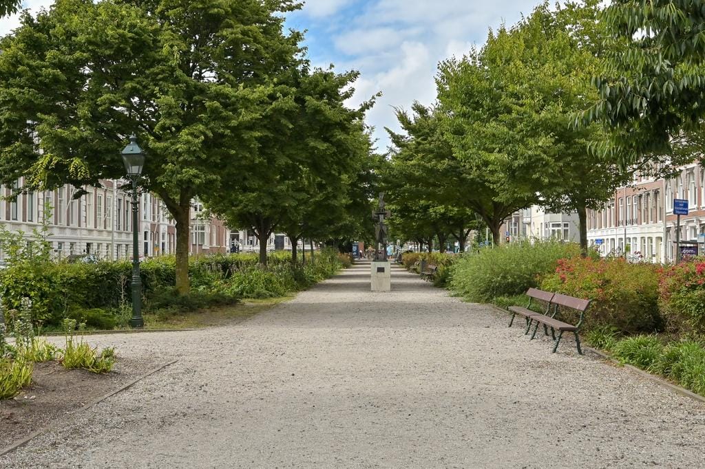 Foto 25 van Burgemeester De Monchyplein 81