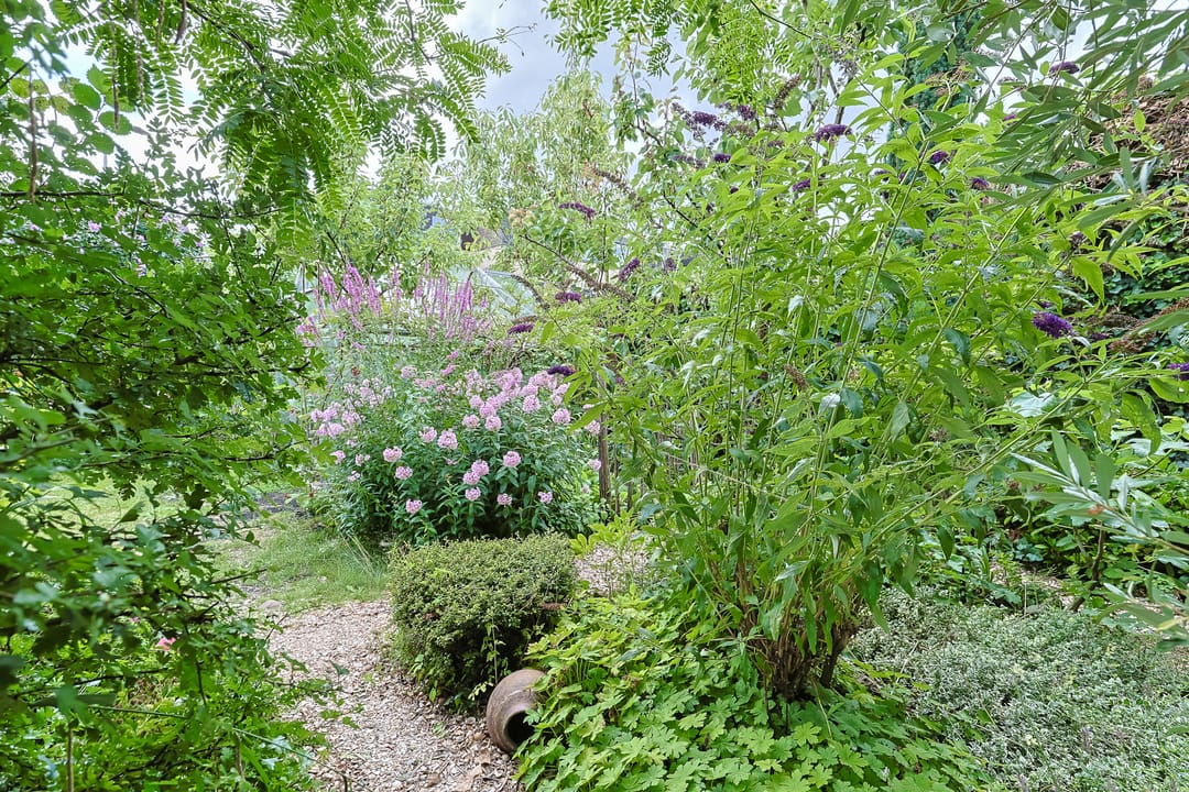 Foto 62 van Groenoord 432