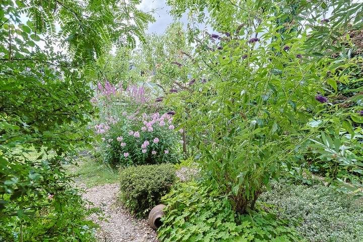 Foto 62 van Groenoord 432