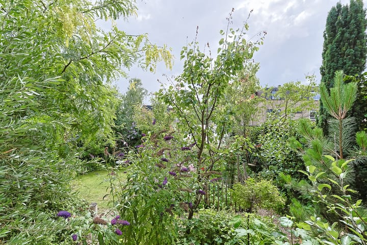 Foto 63 van Groenoord 432