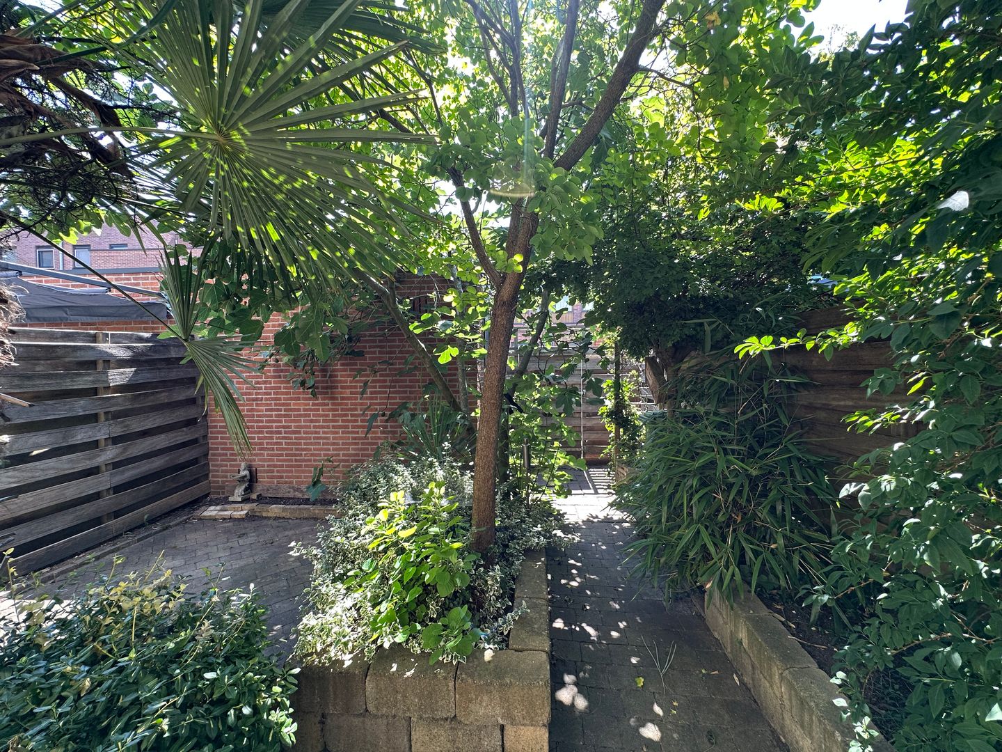 Foto 14 van Eendenkooi 69