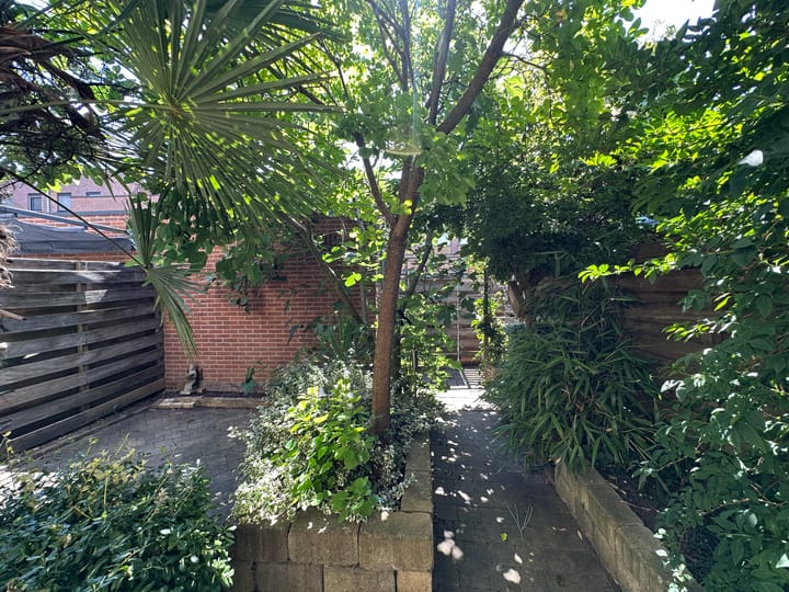 Photo 14 of Eendenkooi 69