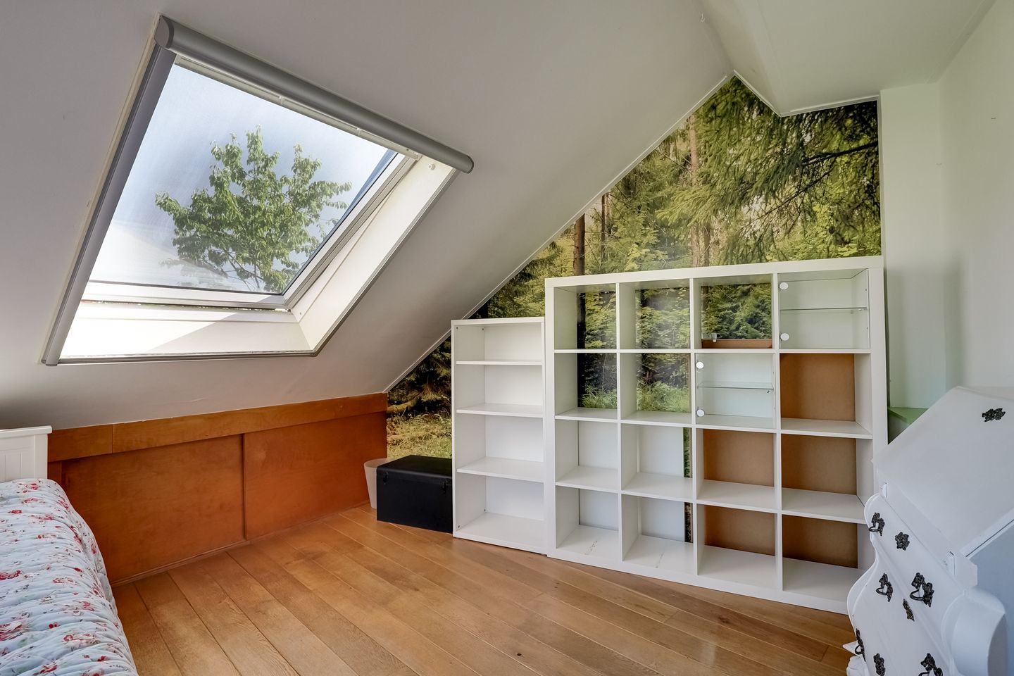 Photo 29 of De Goedemeent 5