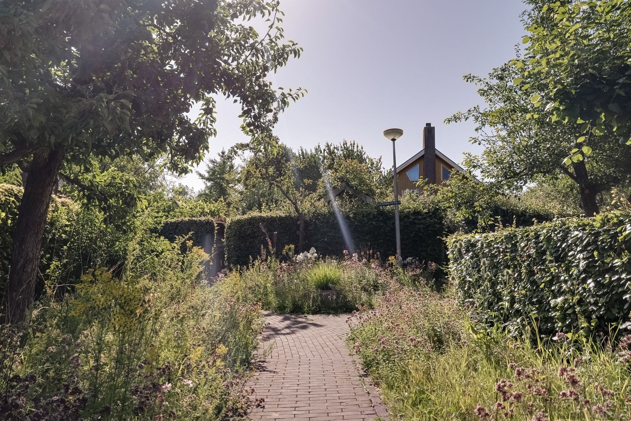 Photo 42 of De Goedemeent 5