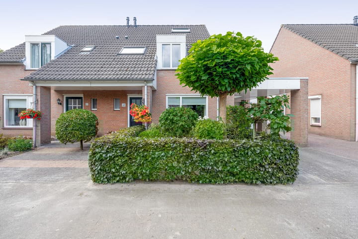 Foto 6 van Raupplaan 46