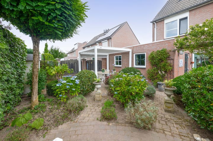 Foto 40 van Raupplaan 46