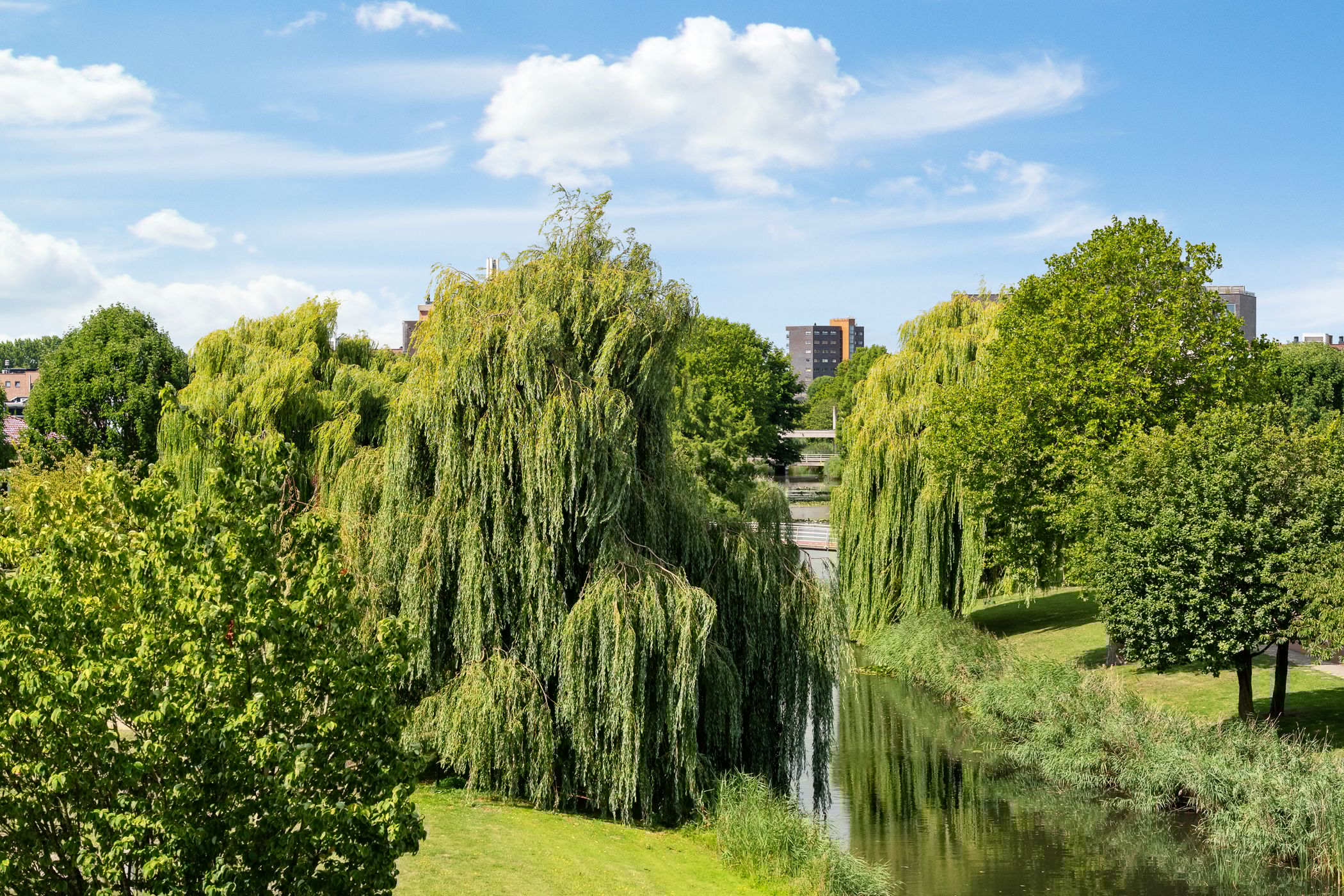 Photo 27 of Meerwedesingel 127