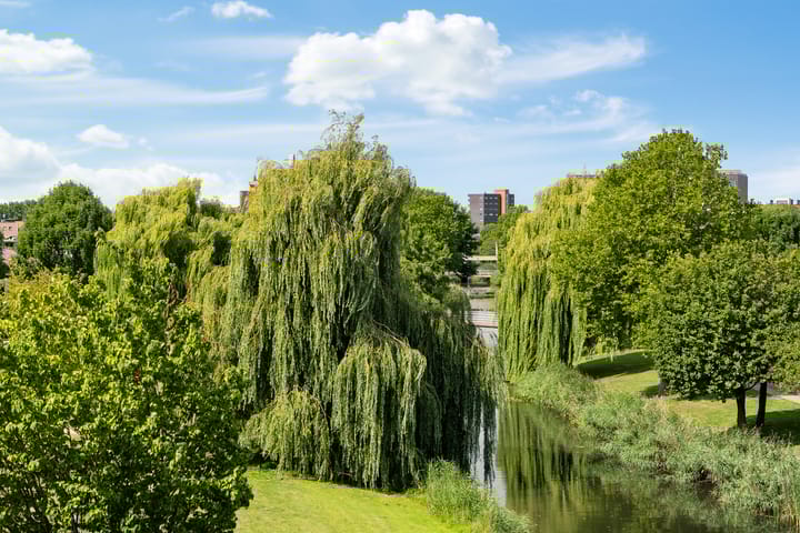 Foto 27 van Meerwedesingel 127