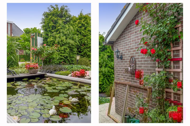 Foto 41 van Benedenberg 26