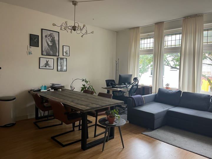 Foto 2 van Dr. van Mierlostraat 37-B