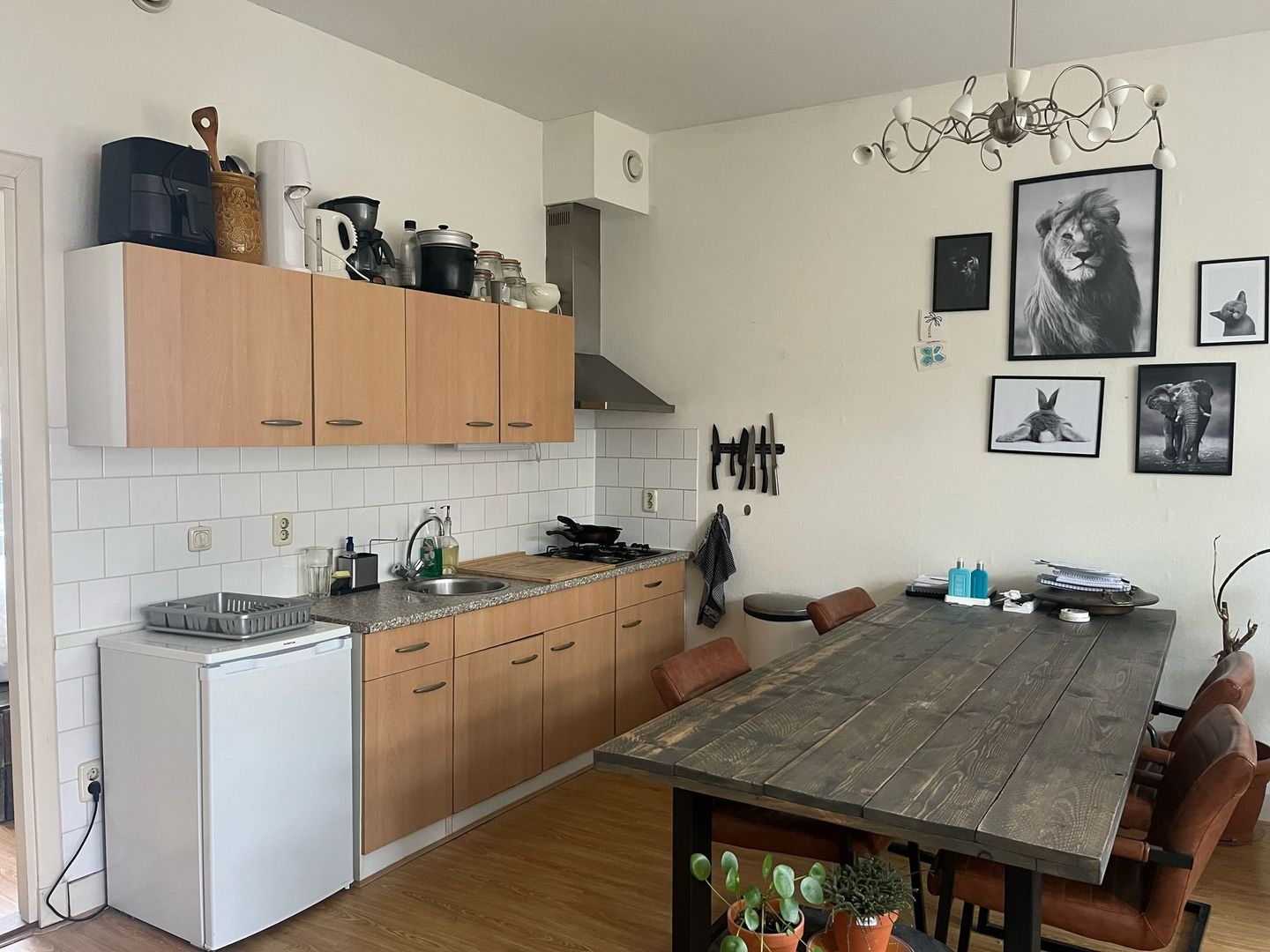 Foto 10 van Dr. van Mierlostraat 37-B