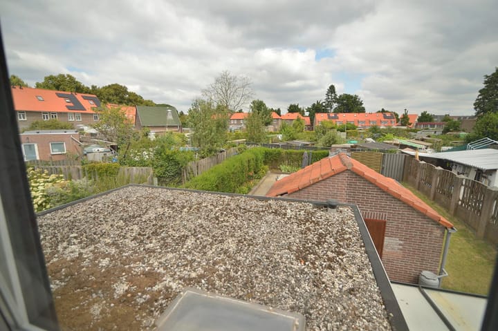 Foto 51 van Wolfshoofdplein 28