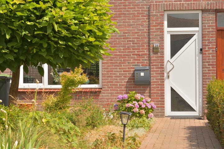 Foto 8 van Wolfshoofdplein 28