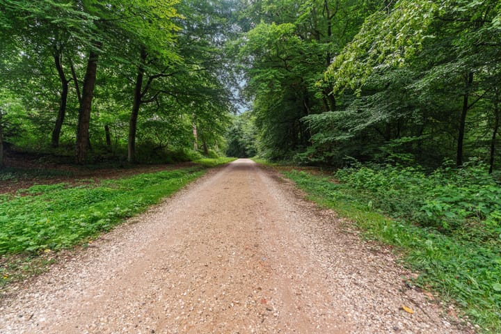 Photo 55 of Middenlaan 48