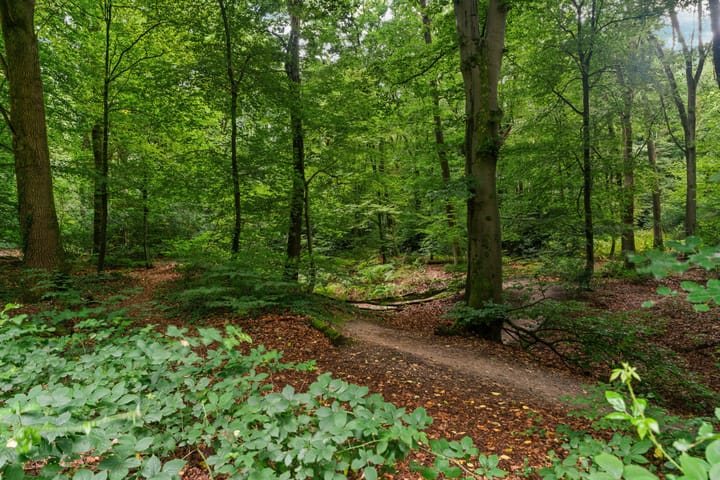 Photo 57 of Middenlaan 48