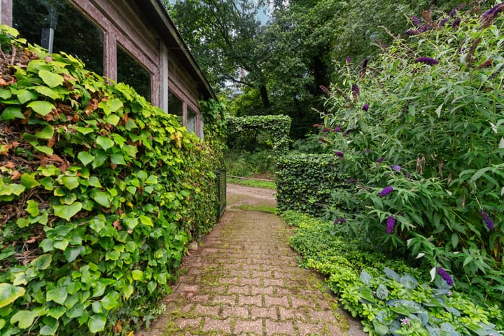 Photo 49 of Middenlaan 48