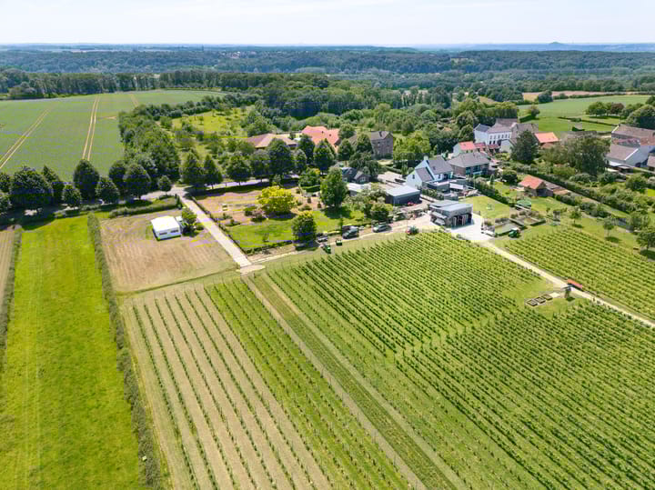 Foto 4 van Raar 49-B